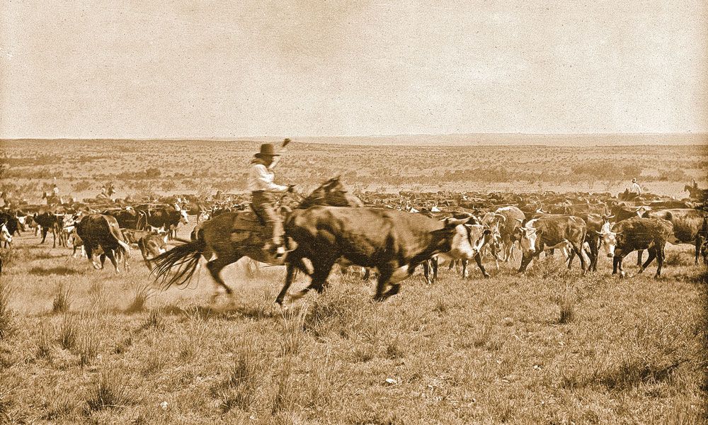 Historical cattle driving